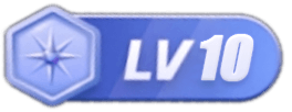 等级-LV10-森森项目库