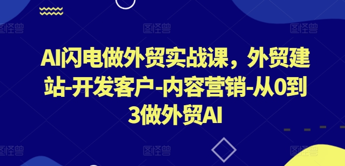 AI闪电做外贸实战课，​外贸建站-开发客户-内容营销-从0到3做外贸AI(更新)-森森项目库