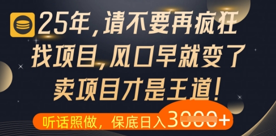 什么？25年你还在疯狂找项目做，醒醒吧，看完这些你全都懂了【揭秘】-森森项目库