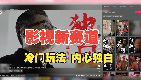 最新影视解说玩法，人物独白，30天涨粉24万+，全流程拆解【揭秘】-森森项目库