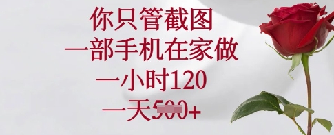 你只管截图，一部手机在家做，一小时120.一天5张【揭秘】-森森项目库