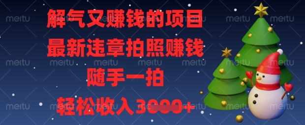 解气又挣钱的项目，最新违章拍照挣钱，随手一拍，轻松收入数张【揭秘】-森森项目库