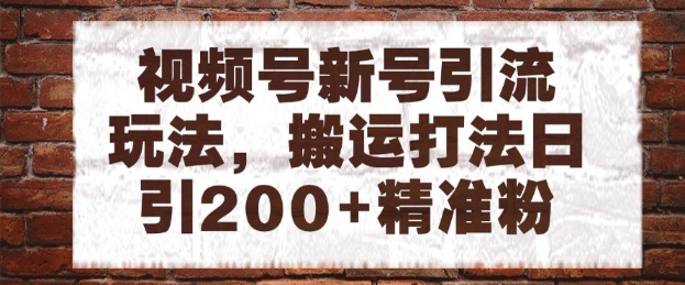 视频号新号引流玩法，搬运打法日引200+精准粉，可矩阵放大【揭秘】-森森项目库