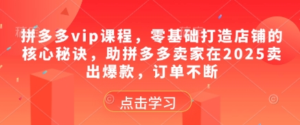 拼多多vip课程，零基础打造店铺的核心秘诀，助拼多多卖家在2025卖出爆款，订单不断-森森项目库