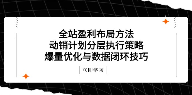 全站盈利布局方法：动销计划分层执行策略，爆量优化与数据闭环技巧-森森项目库