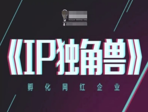 IP独角兽，孵化网红企业，ip教程-森森项目库