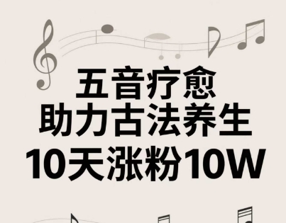 古法五音养生教程，五音疗愈的视频的制作方法，2-4小时就能学会，作者10天涨粉10W-森森项目库