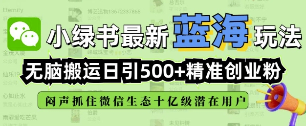 小绿书无脑搬运引流，全自动日引500精准创业粉，微信生态内又一个闷声发财的机会-森森项目库