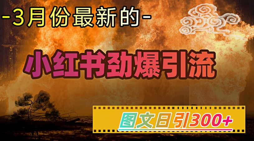 小红书超劲爆引流手段，图文日引300+轻松变现1W-森森项目库