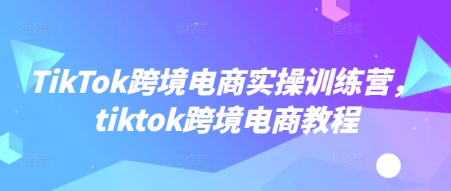 TikTok跨境电商实操训练营，tiktok跨境电商教程-森森项目库