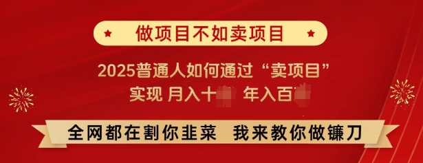 必看，做项目不如卖项目，2025普通人如何通过“卖项目”实现月入十个，年入百个-森森项目库