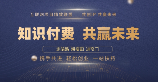 别人苦寻无果，为何他们靠知识付费卖项目 2025 年轻松年入100个?【揭秘】-森森项目库