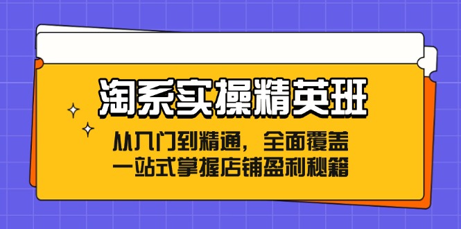 淘系实操精英班：从入门到精通，全面覆盖，一站式掌握店铺盈利秘籍-森森项目库