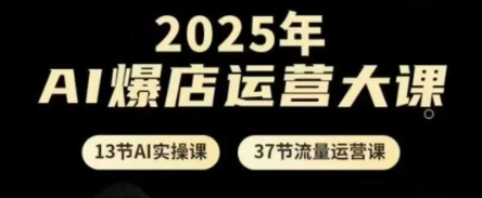 2025年AI爆店运营大课，13节AI实操课+37节流量运营课-森森项目库