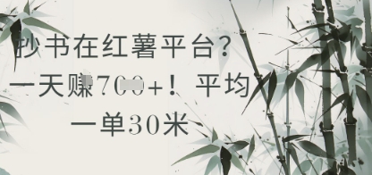 抄书在小红薯平台？平均一单30米，一天收益几张！-森森项目库