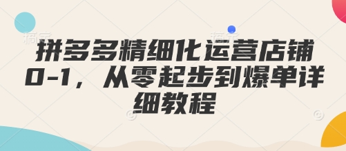 拼多多精细化运营店铺0-1，从零起步到爆单详细教程-森森项目库