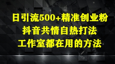 日引流500+精准创业粉，抖音共情自热打法，工作室都在用的方法-森森项目库