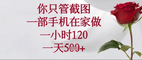 你只管截图，一部手机在家操作，一小时120.一天5张【揭秘】-森森项目库