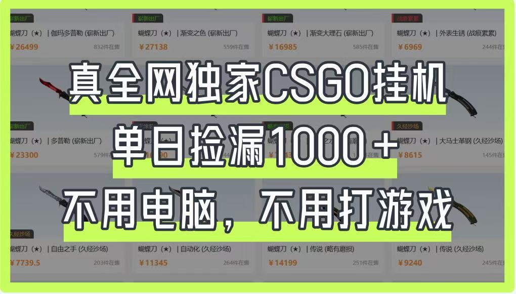 真全网独家CSGO挂机，单日捡漏1000+，不用电脑，不用养号-森森项目库