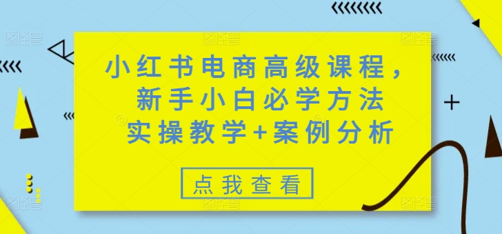 小红书电商高级课程，新手小白必学方法，实操教学+案例分析-森森项目库