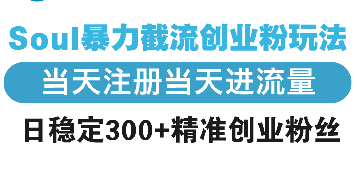 Soul暴力截流创业粉玩法，当天注册当天进流量，日稳定300+精准创业粉丝-森森项目库
