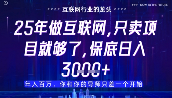 什么！25年你还在找项目做？风口早就变了，卖项目才是稳挣不赔【揭秘】-森森项目库