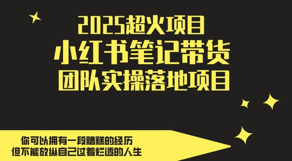 2025超火项目，副业最佳选择，小红书笔记带货团队实操落地项目，，轻松日入5张-森森项目库