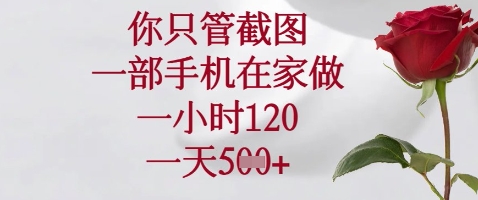 你只管截图，一部手机在家做，苹果安卓都可以，一小时120，一天5张+【揭秘】-森森项目库