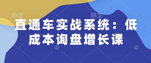 直通车实战系统：低成本询盘增长课，让个人通过技能实现升职加薪，让企业低成本获客，订单源源不断-森森项目库