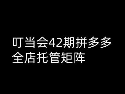 叮当会拼多多打爆班原创高阶技术第42期，拼多多全店托管矩阵-森森项目库