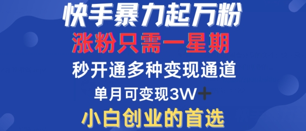 快手暴力起万粉，涨粉只需一星期，多种变现模式，直接秒开万合，单月变现过W【揭秘】-森森项目库