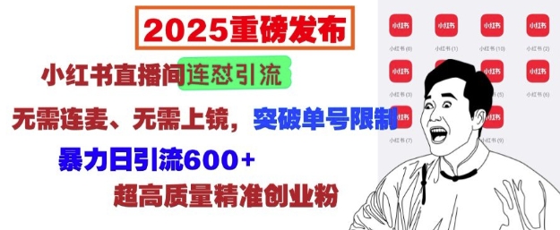 2025重磅发布：小红书直播间连怼引流，无需连麦、无需上镜，突破单号限制，暴力日引流600+-森森项目库