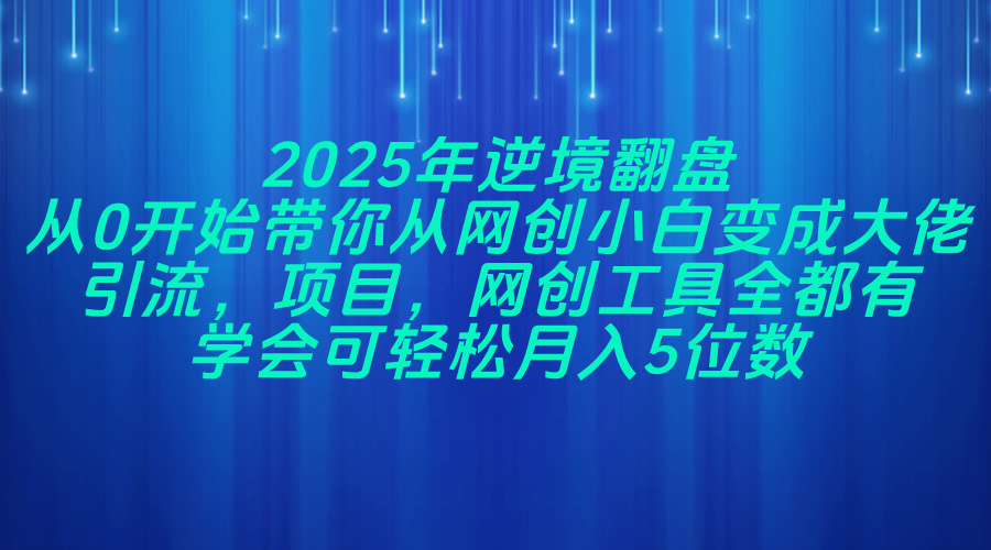 2025年逆境翻盘，从0开始带你从网创小白变成大佬，引流，项目，网创工…-森森项目库