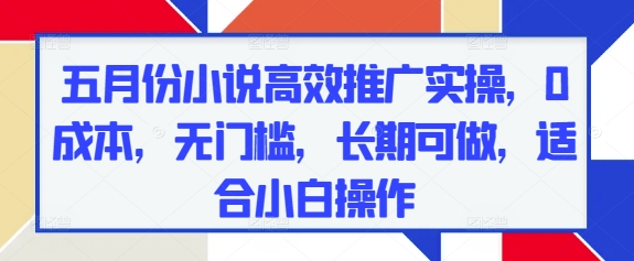 五月份小说高效推广实操，0成本，无门槛，长期可做，适合小白操作-森森项目库