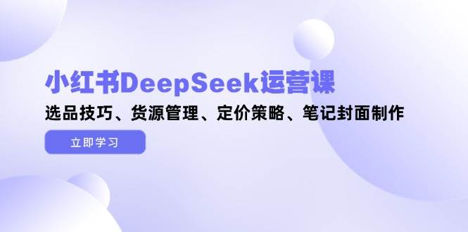 小红书DeepSeek运营课，选品技巧、货源管理、定价策略、笔记封面制作-森森项目库