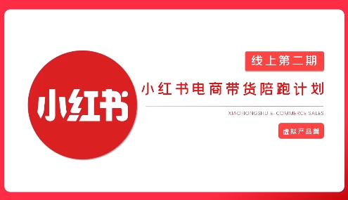 2025小红书虚拟电商实战课，从0到1打造无货源店铺，AI+爆款笔记轻松变现-森森项目库