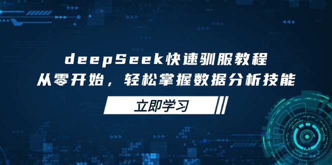 deepSeek快速驯服教程，从零开始，轻松掌握数据分析技能-森森项目库