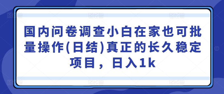 国内问卷调查小白在家也可批量操作(日结)真正的长久稳定项目，日入1k【揭秘】-森森项目库
