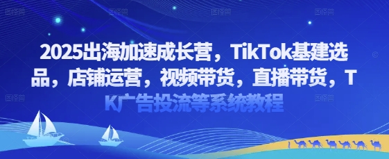 2025出海加速成长营，TikTok基建选品，店铺运营，视频带货，直播带货，TK广告投流等系统教程-森森项目库