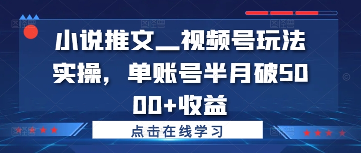 小说推文—视频号玩法实操，单账号半月破5000+收益-森森项目库