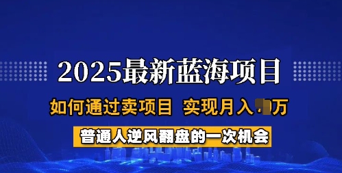 2025蓝海项目，普通人如何通过卖项目，实现月入过W，全过程【揭秘】-森森项目库