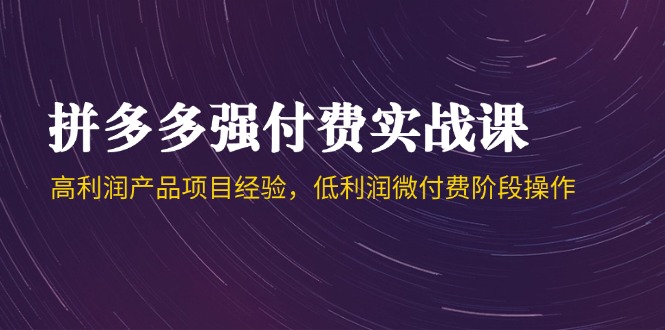 拼多多强付费实战课-44期，高利润产品项目经验，低利润微付费阶段操作-森森项目库