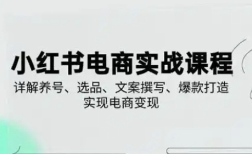小红书从0-1实操课(2023-2025)，详解养号、选品、文案撰写、爆款打造实现电商变现-森森项目库