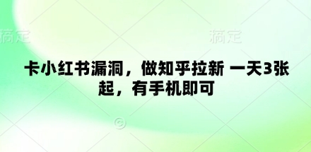 卡小红书漏洞，做知乎拉新 一天3张起，有手机即可-森森项目库