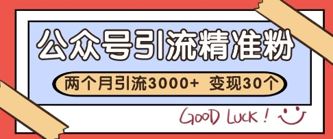 公众号精准粉引流玩法，2个月3000+精准粉，变现30个W【揭秘】-森森项目库