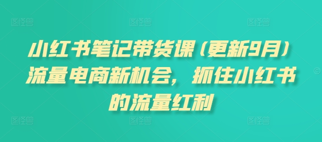 小红书笔记带货课(更新9月)流量电商新机会，抓住小红书的流量红利-森森项目库