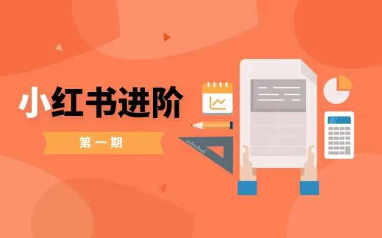 小红书进阶篇，零基础小白实战课，普通人变现的课程-森森项目库