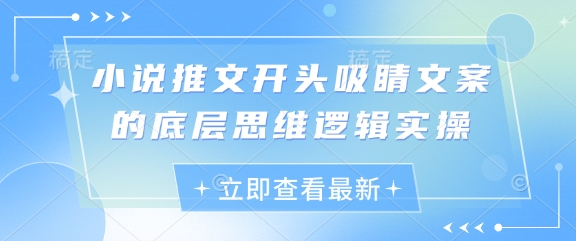小说推文开头吸睛文案的底层思维逻辑实操-森森项目库