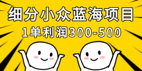 细分小众蓝海项目，一单利润3张，每月收入稳定过1w+-森森项目库