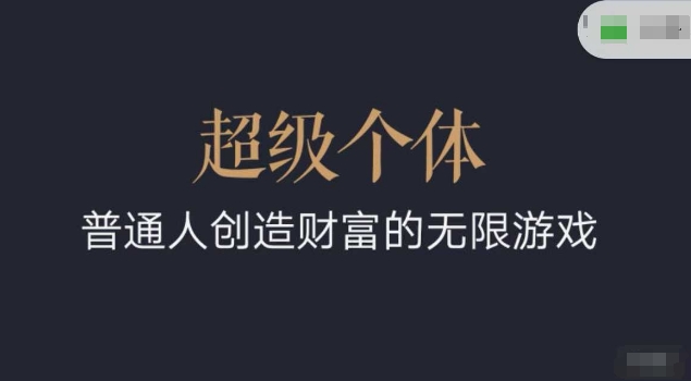 超级个体2024-2025翻盘指南，普通人创造财富的无限游戏-森森项目库
